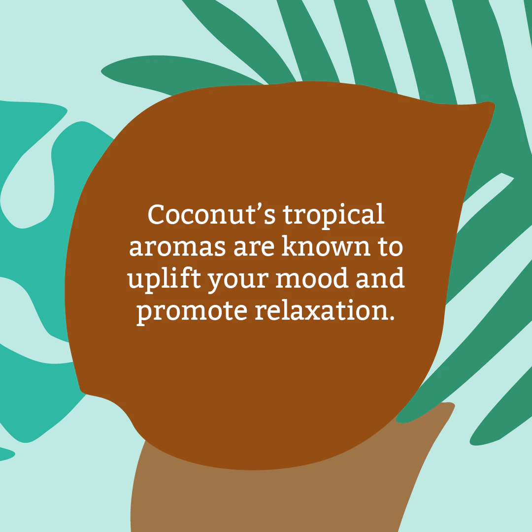 3 x Coconut Soap Bars - Image 5
