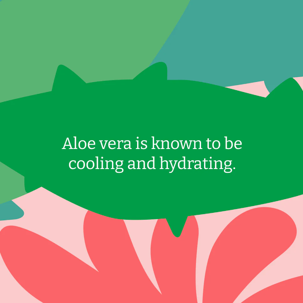 Aloe Vera Soap Bar - Image 5
