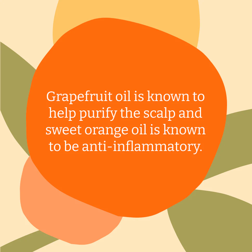 Grapefruit & Orange Shampoo & Conditioner Set - Image 5