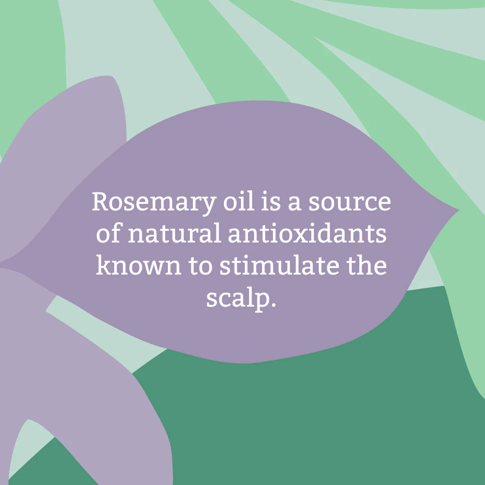 Rosemary Shampoo - 5L - Image 3